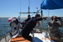 Podejściówka do Helsinek, zobacz!